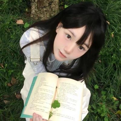 窃盗战
